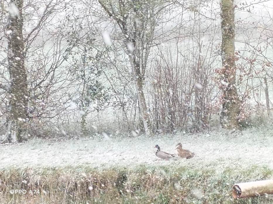 gite2-little-img-gallery