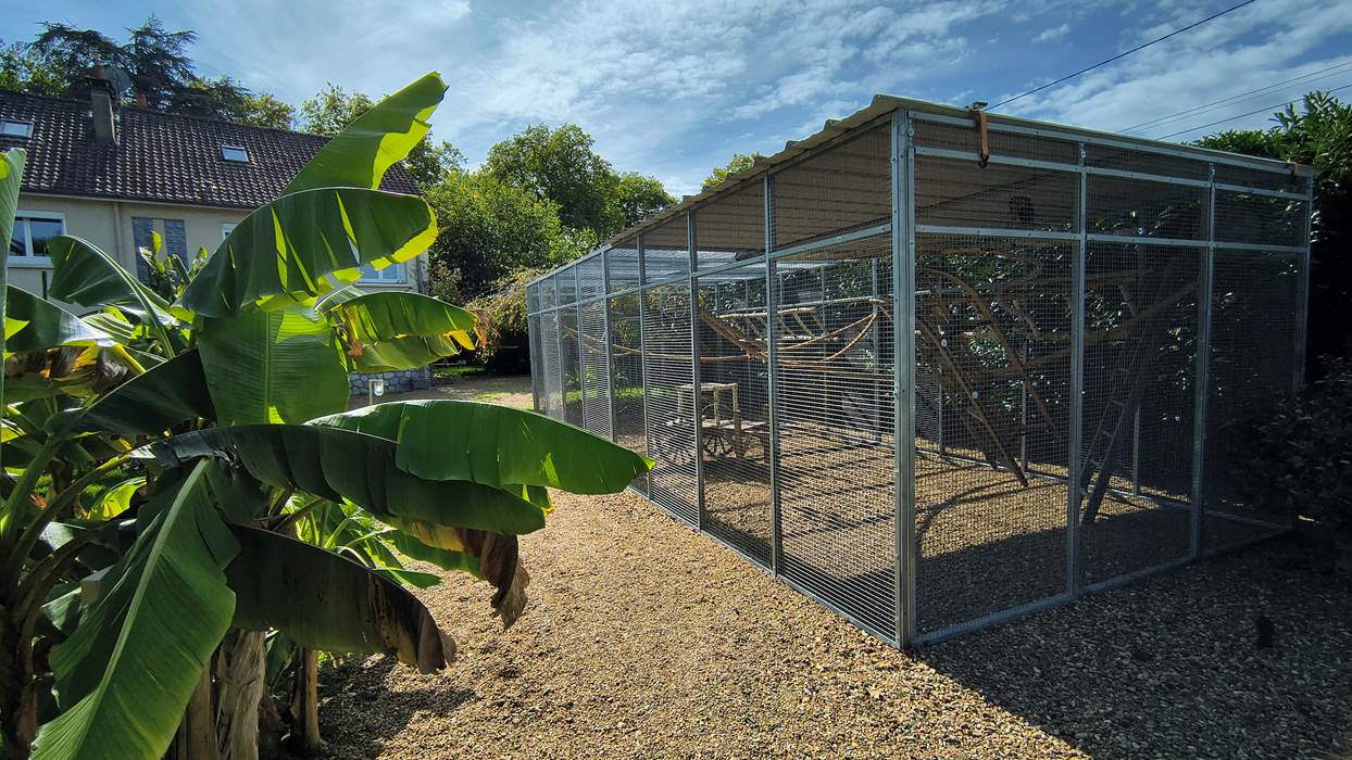 volière des perroquets La Girouardière La Flèche-little-img-gallery