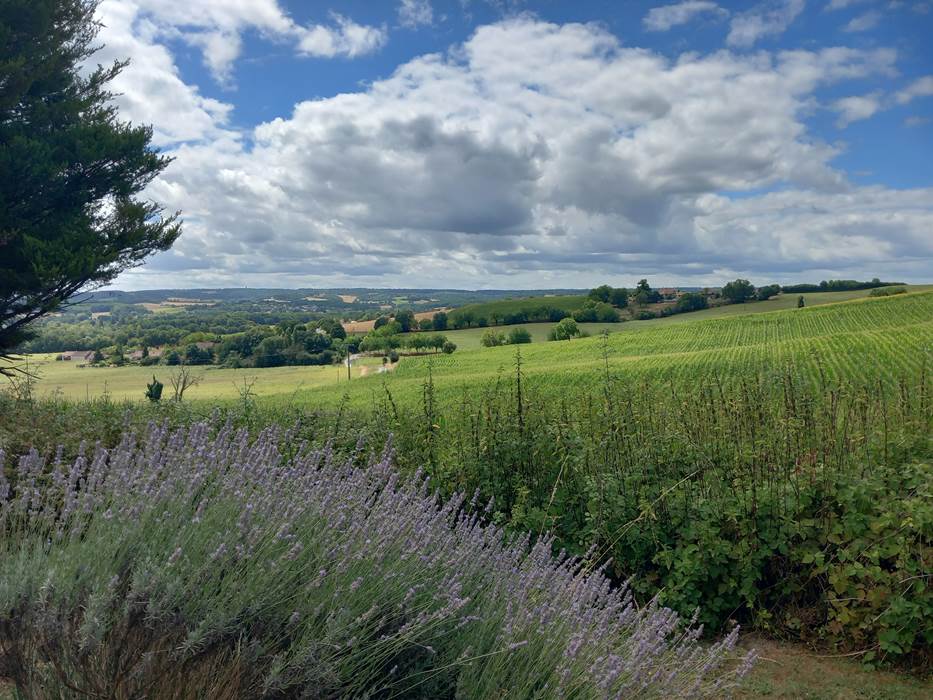 Vue campagne environnante-little-img-gallery