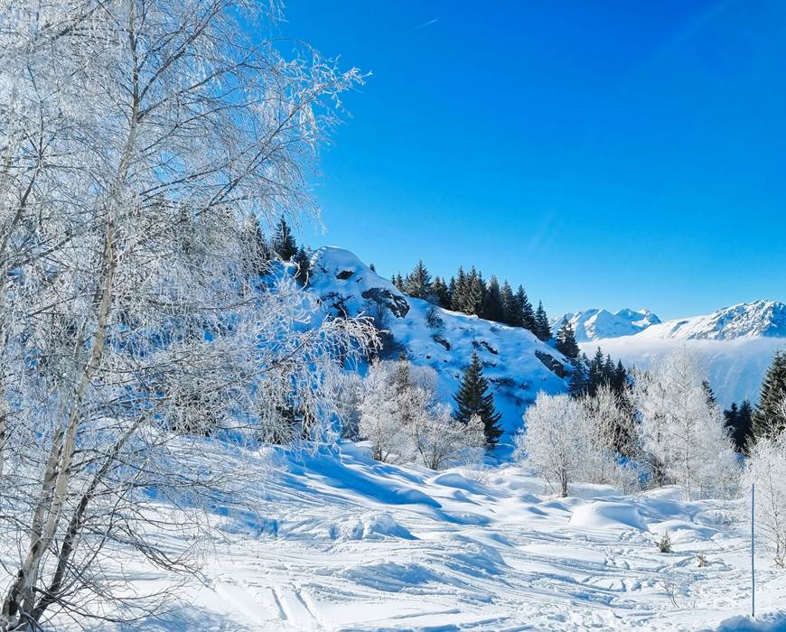 HORS PISTE ALPE D'HUEZ
