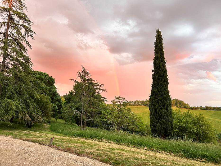 IMG_1550-little-img-gallery