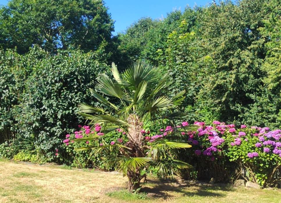 Jardin paysager