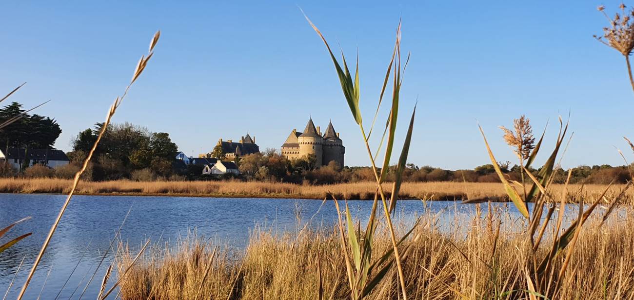 Chateau-Suscinio -Sarzeau-little-img-gallery