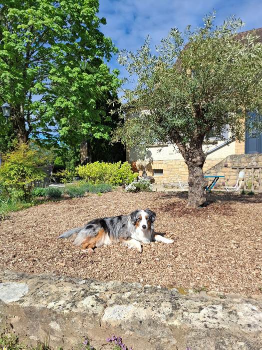 les-charmes-de-sarlat. Austin