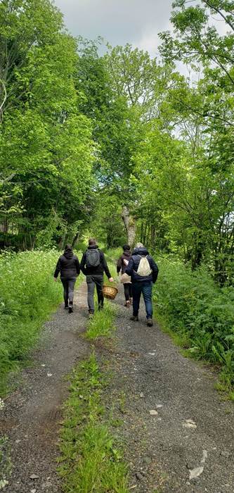 groupe forêt