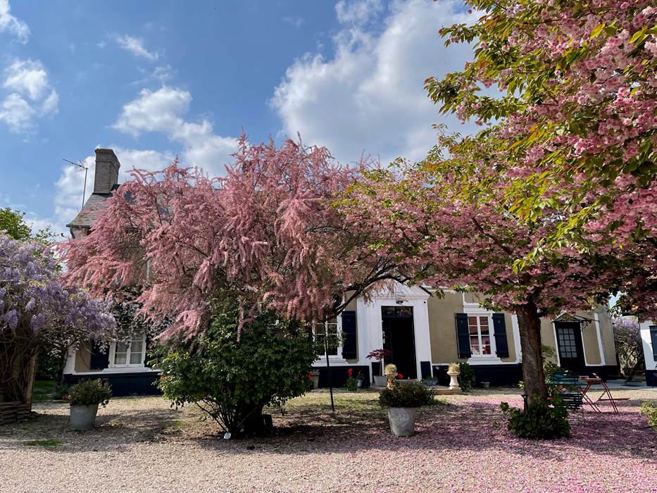 © Au Presbytère de Saigneville-little-img-gallery