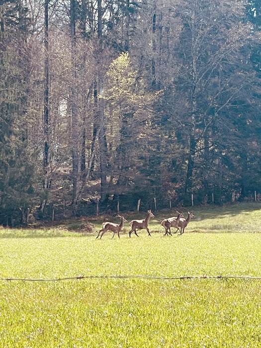 gite_correze_pierres_confort-nature