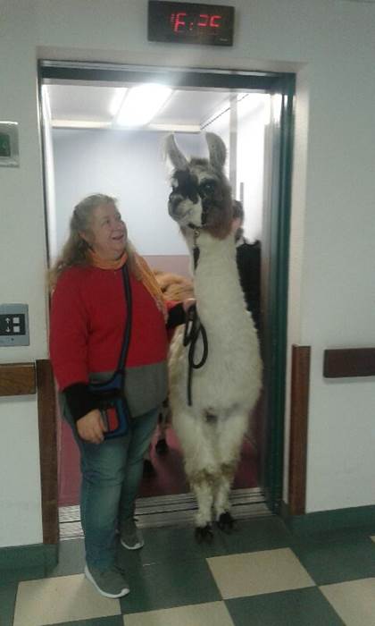 Corrèze Lama ferme pédagogique-little-img-gallery