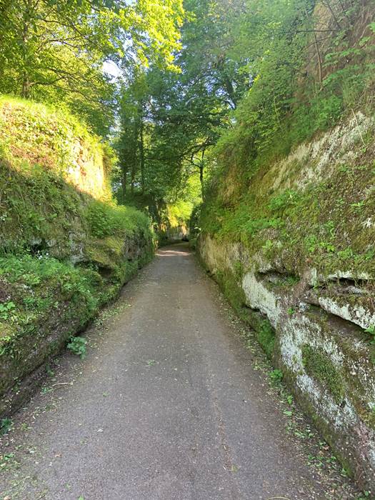 La Petite Pierre-little-img-gallery