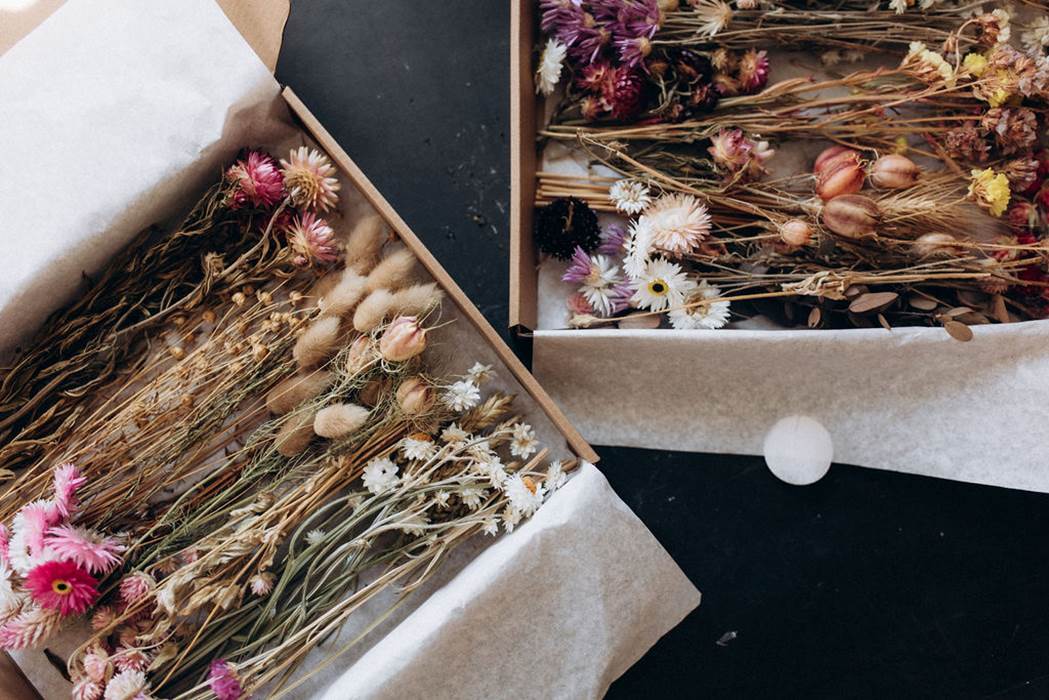 coffrets-fleurs-sechees-francaises-terralya