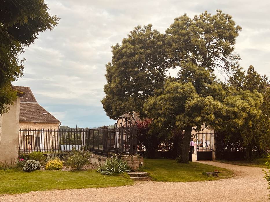 IMG_3108-little-img-gallery