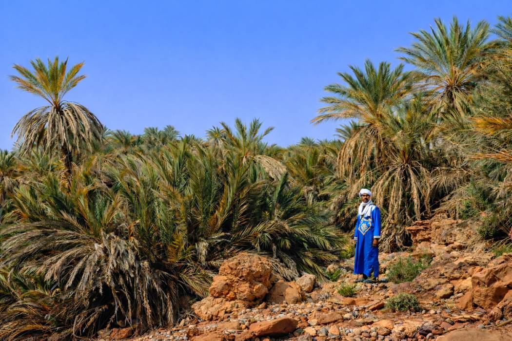 Dans l'oasis de Saf-Saf