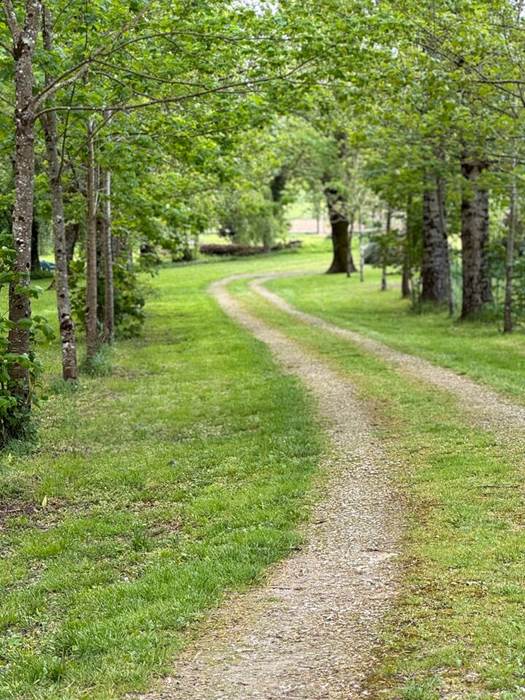 053ae3b0-2f6e-46b8-b79f-846278d266e6