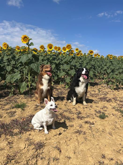 photo_2 - 2025-11-02T194839.331-little-img-gallery