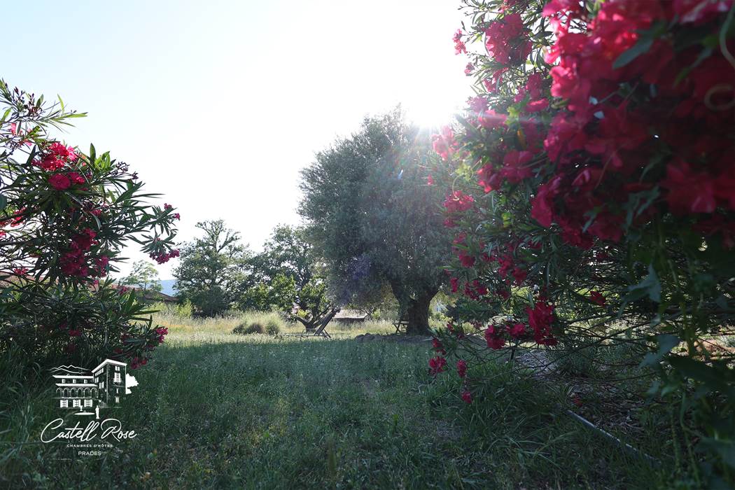 Jardin et Herbes Hautes, quand il fait chaud-little-img-gallery
