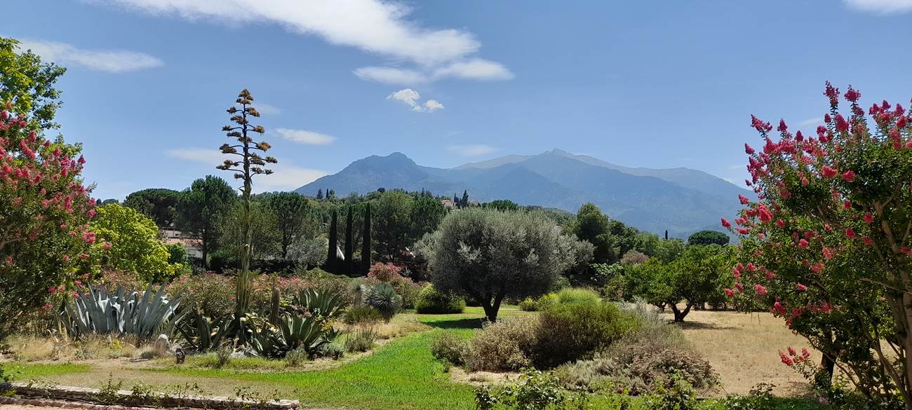Terrasse sud, vue Canigou-little-img-gallery