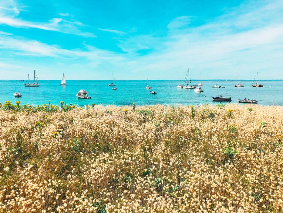 Île de Penfret les Glénan Fouesnant-little-img-gallery