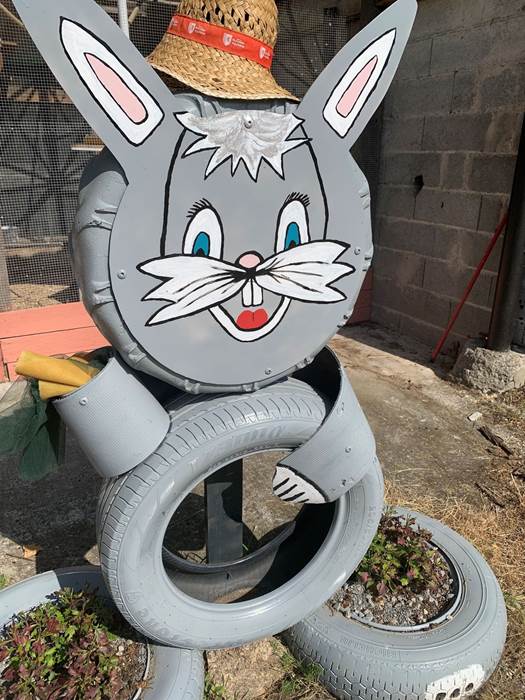 lapinou-little-img-gallery
