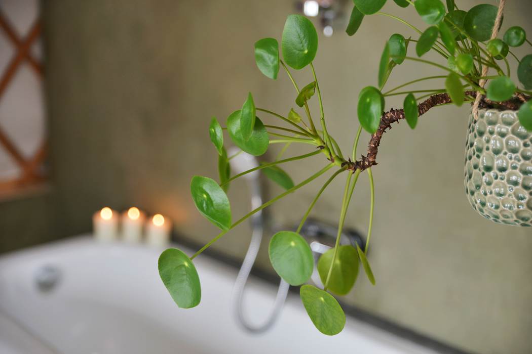 Le temps du bain-little-img-gallery