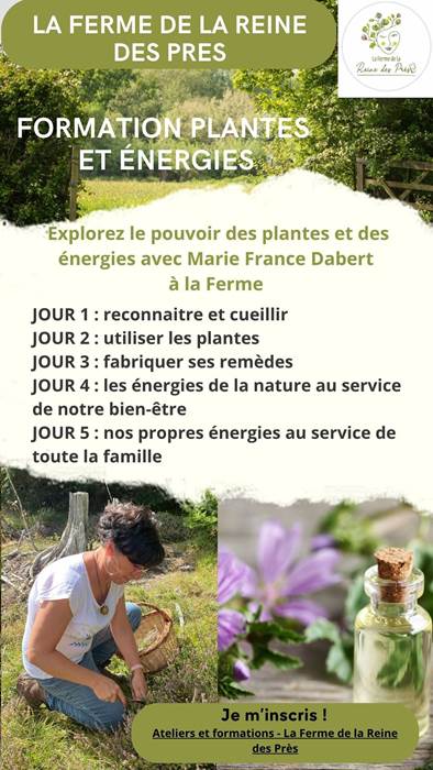 affiche 5 jours