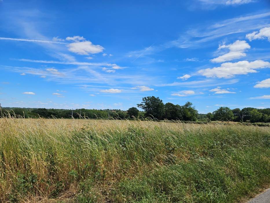 Le Quai d'Neuf — Gîte de groupe en Creuse (15 personnes) - vue sur les champs