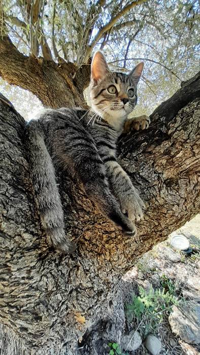 Léo-little-img-gallery