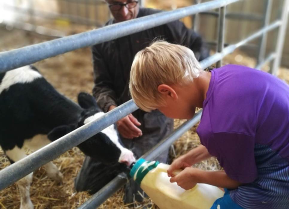 Participez aux activités de la ferme