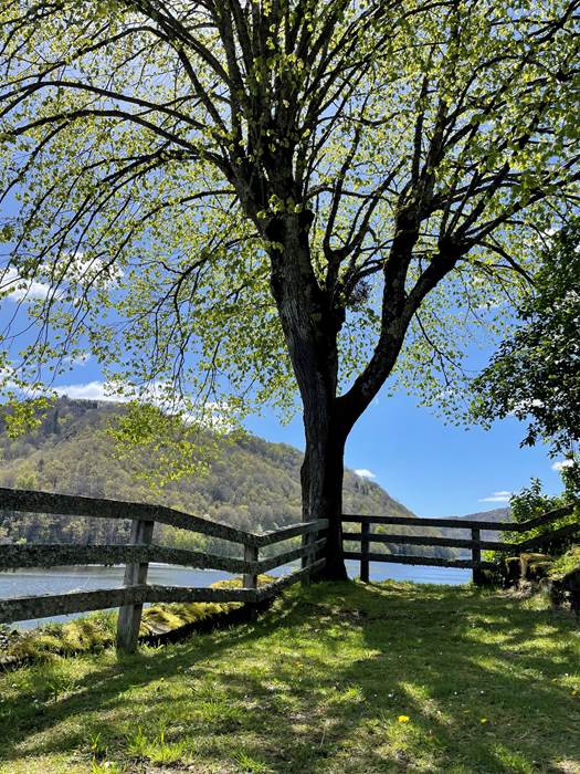 gite_correze_pierres_barragedebort-nature
