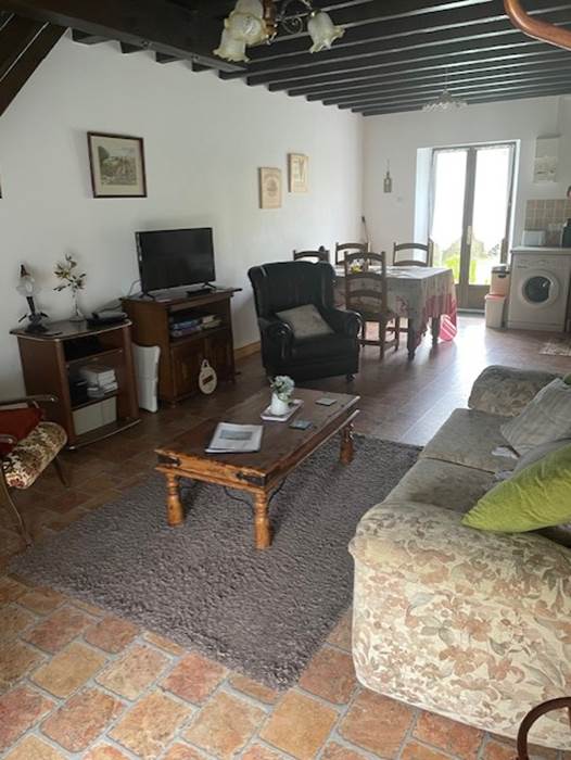 Living area in Water lilies (with sofa bed)