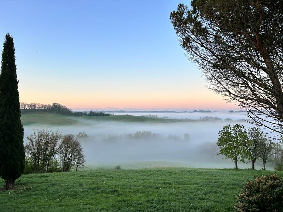 IMG_1481-little-img-gallery