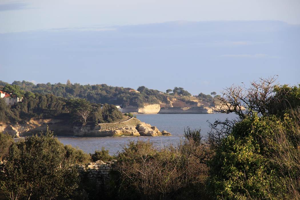 Sentier côtier de la pointe de Suzac-little-img-gallery