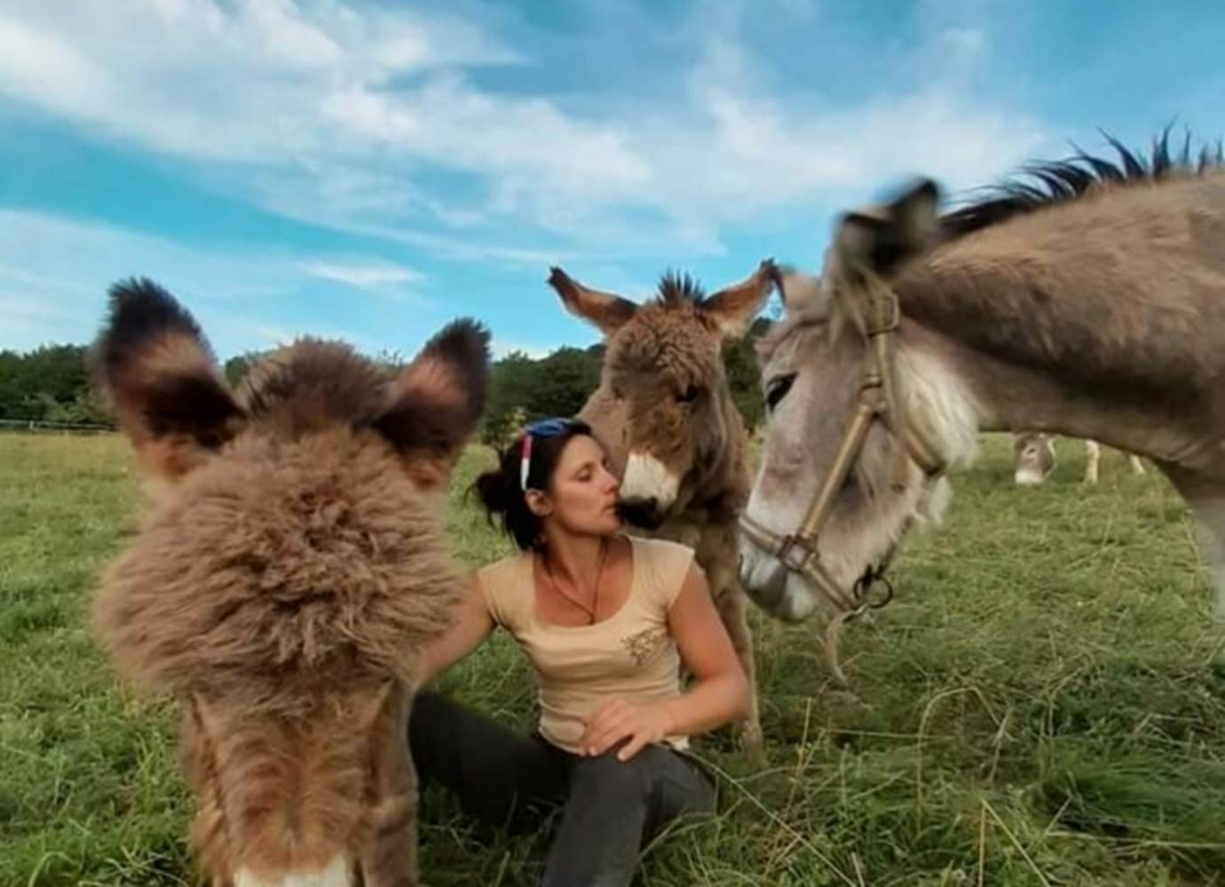 ânes de la ferme Juli'ânesse-little-img-gallery