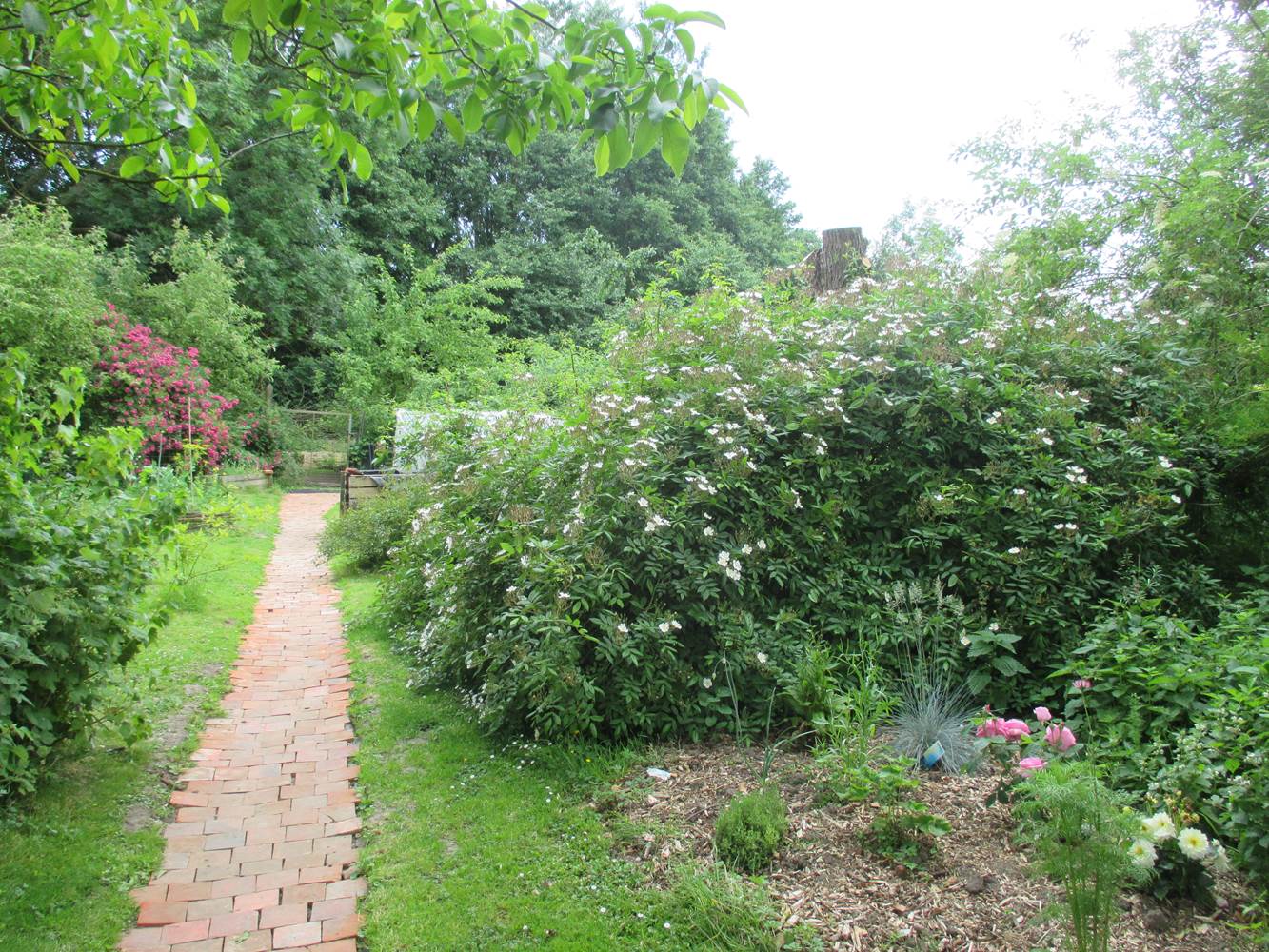 le jardin en été-little-img-gallery