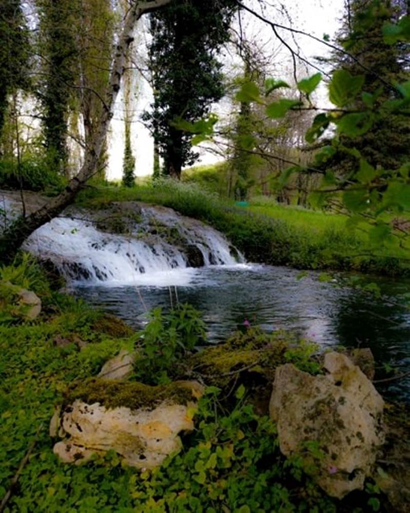 "Le Clos du Moulin", Village de Gîtes en Périgord : le parc-little-img-gallery