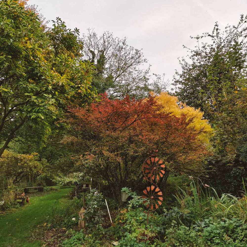 le jardin du gîte...-little-img-gallery