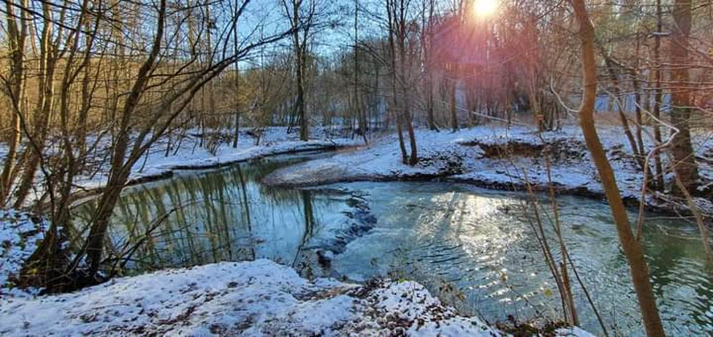 dans le bois du caillou qui bique, un jour d'hiver-little-img-gallery
