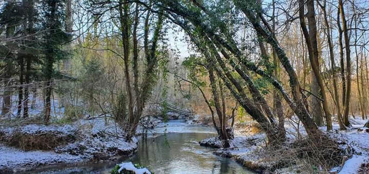 dans le bois du caillou qui bique, un jour d'hiver-little-img-gallery