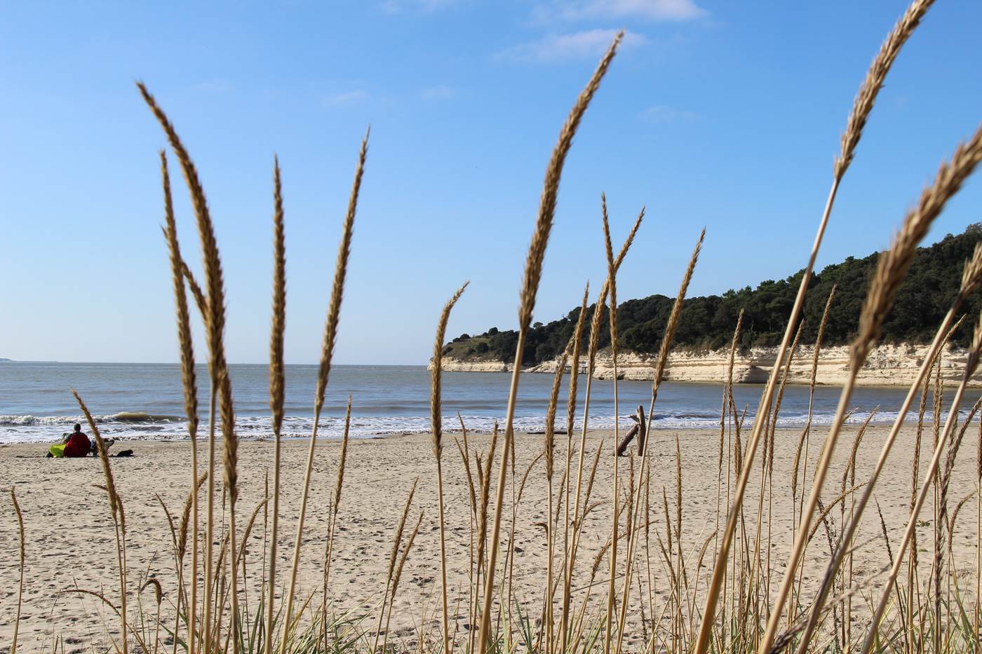 Plage de Meschers-little-img-gallery