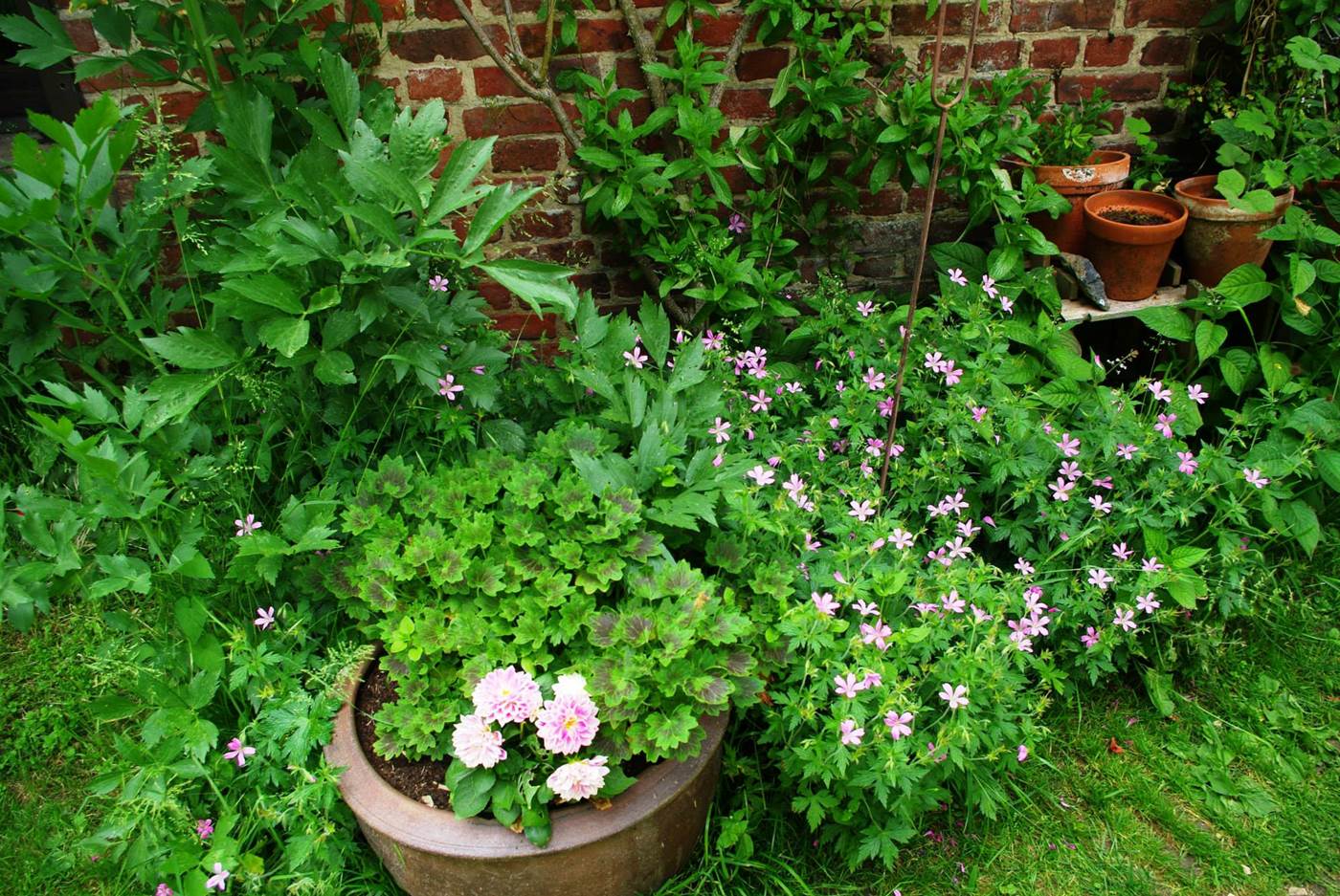 printemps au jardin-little-img-gallery
