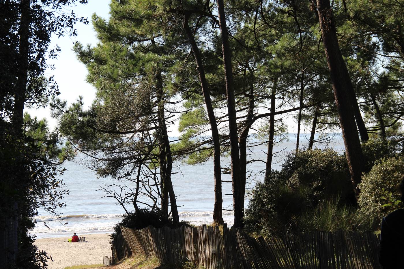Plage de la grande côte-little-img-gallery
