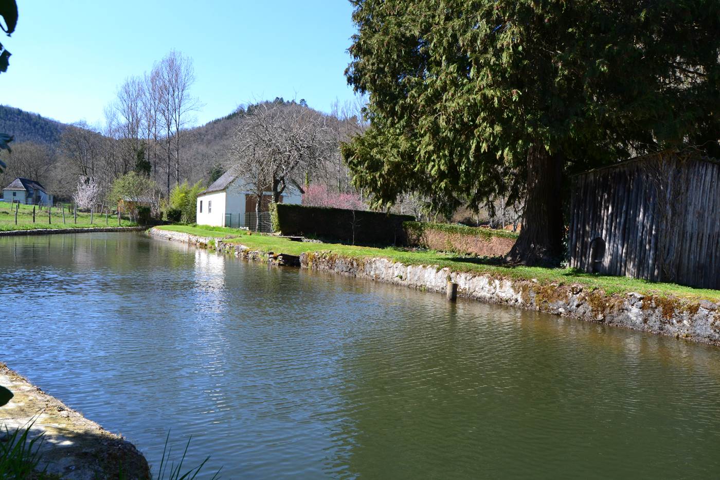 l'étang derrière le gîte-little-img-gallery