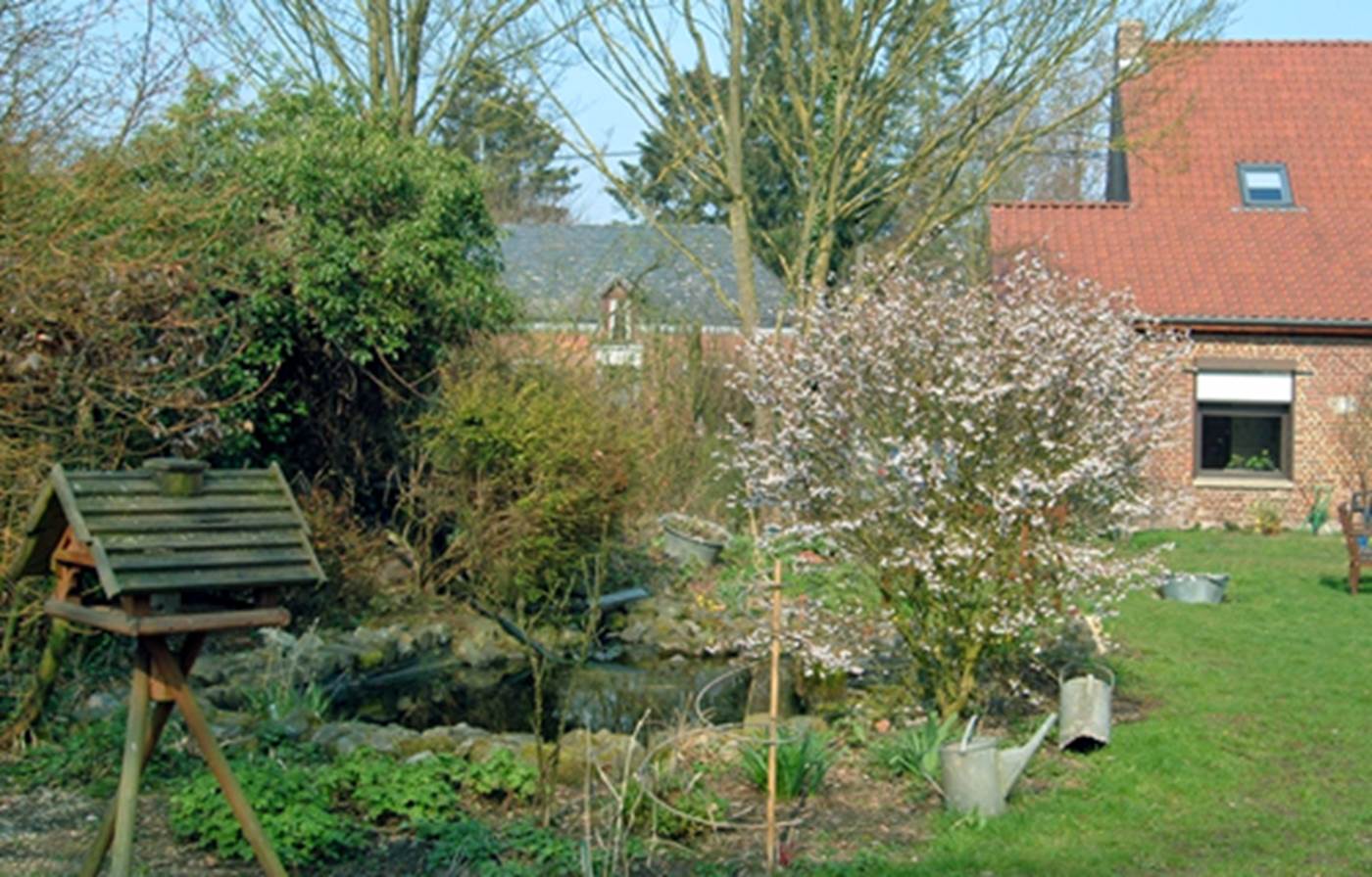 le jardin en fin d'hiver-little-img-gallery