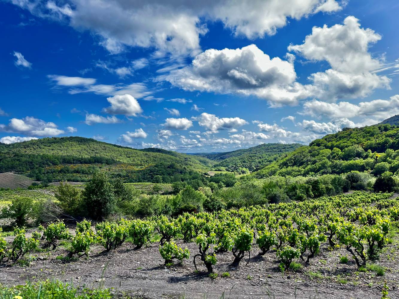 Gites Corbieres20-little-img-gallery