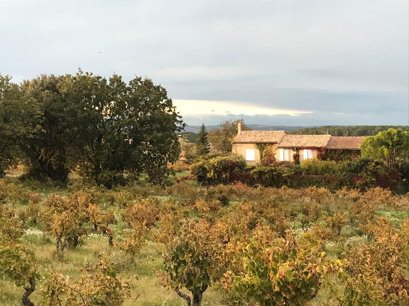 Le Mas Mellou : Chambres d'hôtes et Gîtes-little-img-gallery