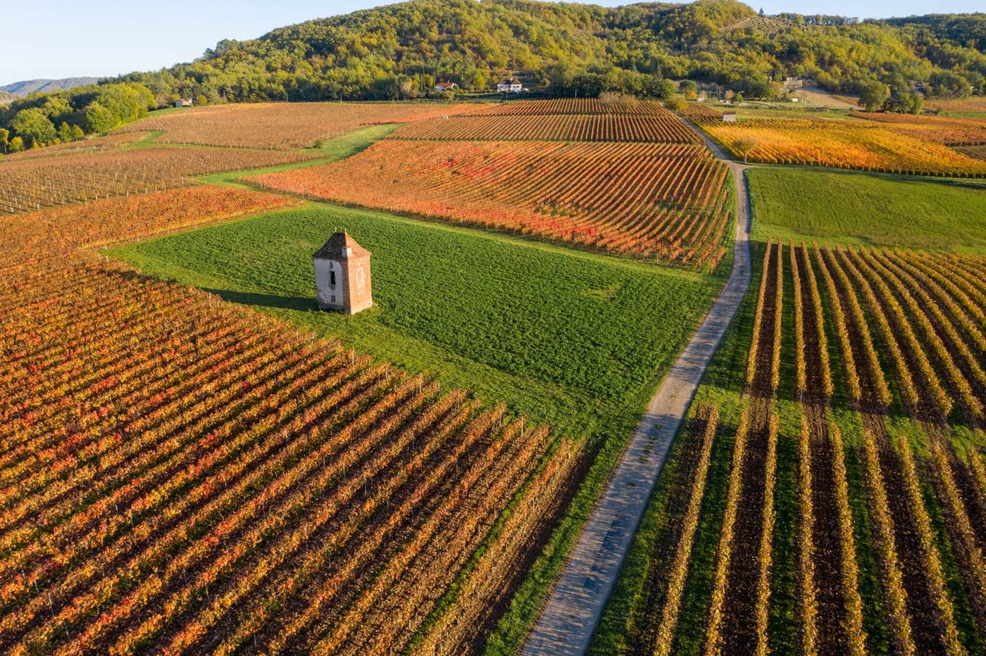 201030163933 Vignoble et maison de vigne à Albas en automne © C. Novello - Lot Tourisme_2048x1364-little-img-gallery