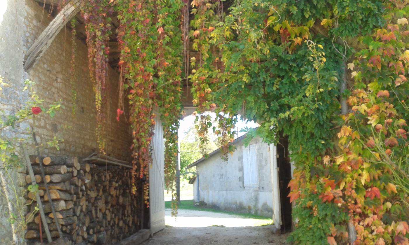Grand portail-little-img-gallery