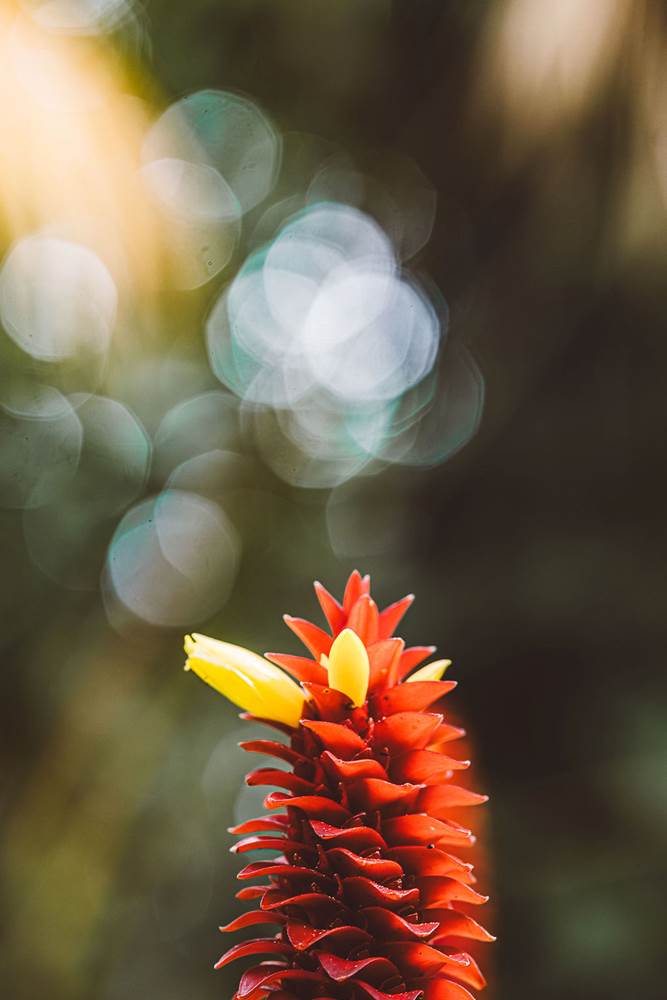 .-little-img-gallery
