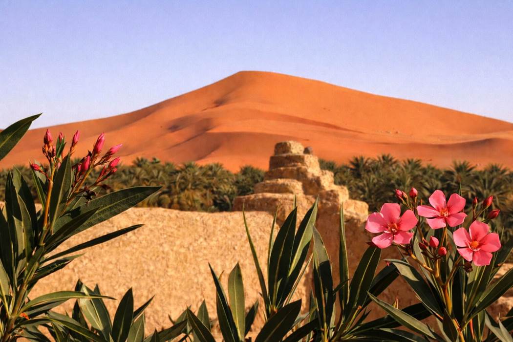 La vue depuis la terrasse de l'auberge-gallery