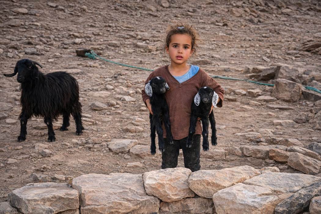 CPetite fille nomade ramenant ses chevreaux-gallery