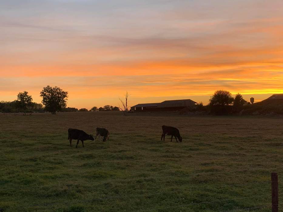 305578017_402743311974703_3590713909605771530_n-gallery